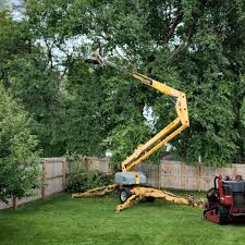 Best Grass Overseeding  in Village Green, NY