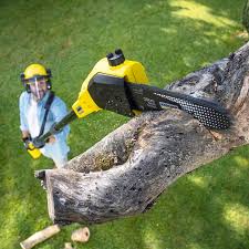 Best Lawn Pest Prevention  in Village Green, NY