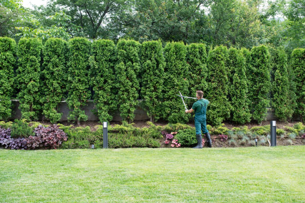Best Hazardous Tree Removal  in Village Green, NY