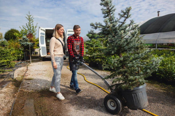 Best Tree and Shrub Care  in Village Green, NY